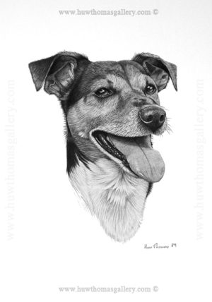 Jack Russell 2 (b&w) Unframed Print