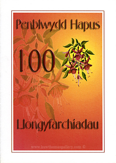 100th Welsh Birthday Card