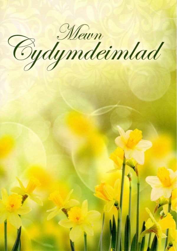 Welsh Sympathy Card – Daff Design – Welsh Greeting Card