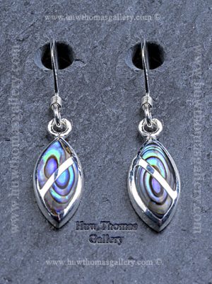 Silver & Paua Shell Earrings